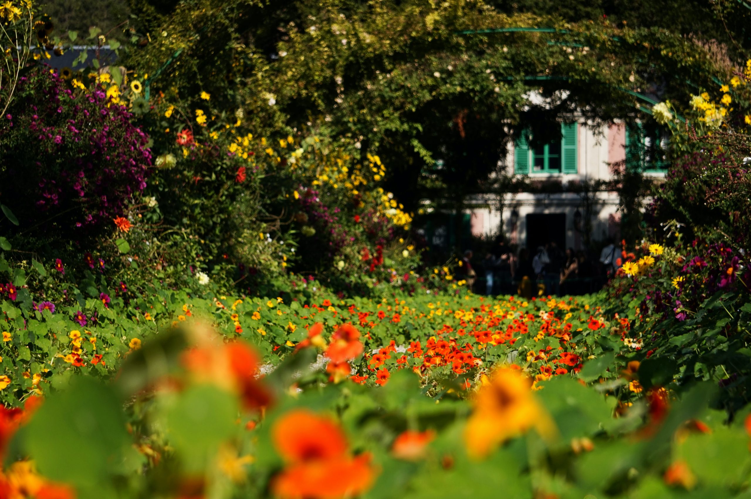 baptiste-riffard-8Sopdzh-sPo-unsplash
